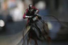 Ant Man and the Wasp 2018